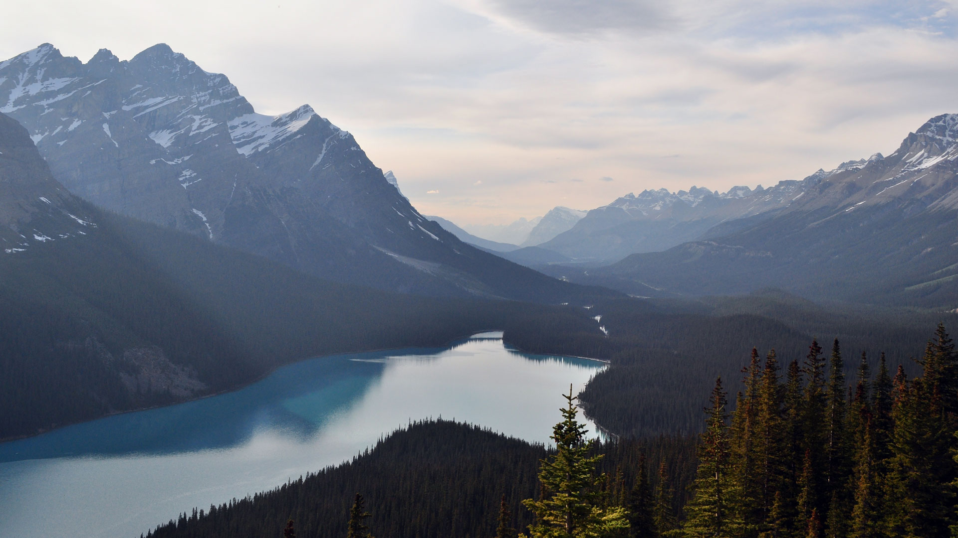 Burn Clean Fireplace & Woodstoves Chimneys Plus Gutters