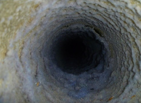 Dirty Dryer Vent