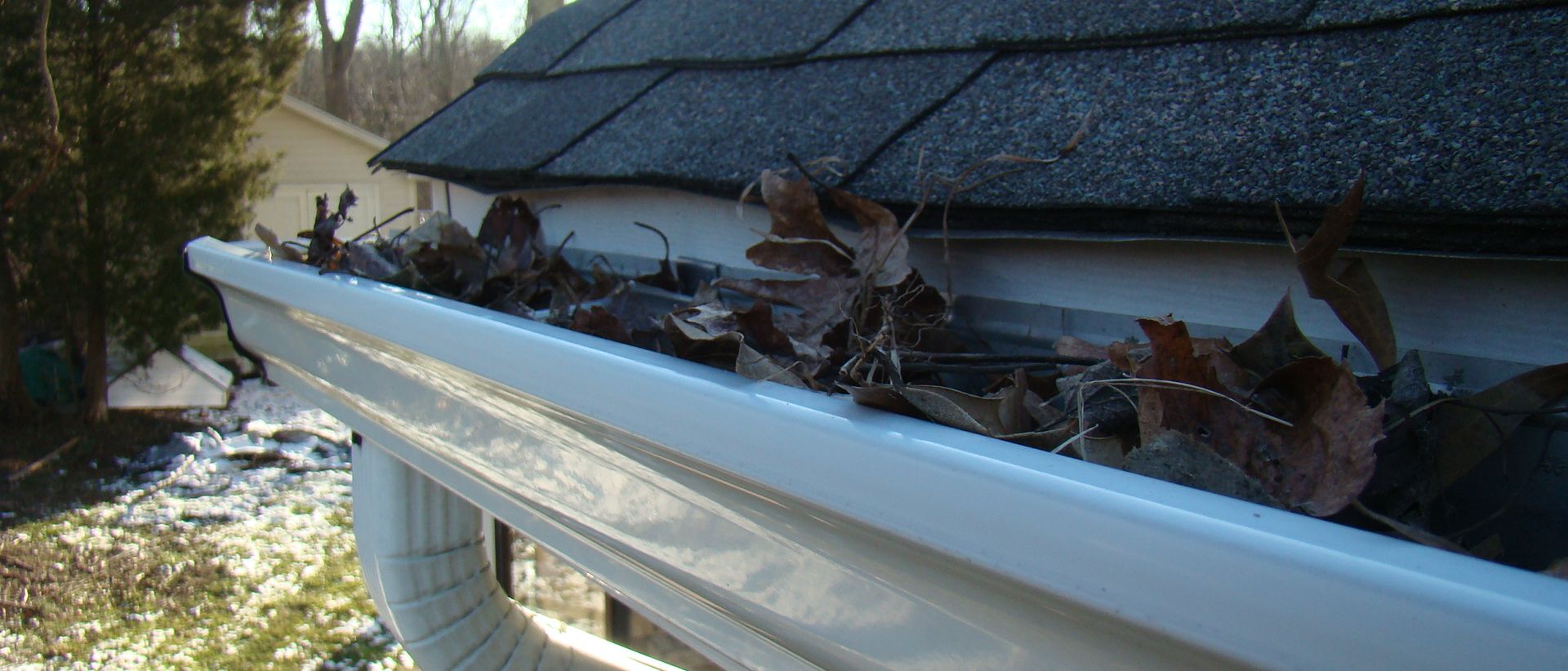 leaves in gutter