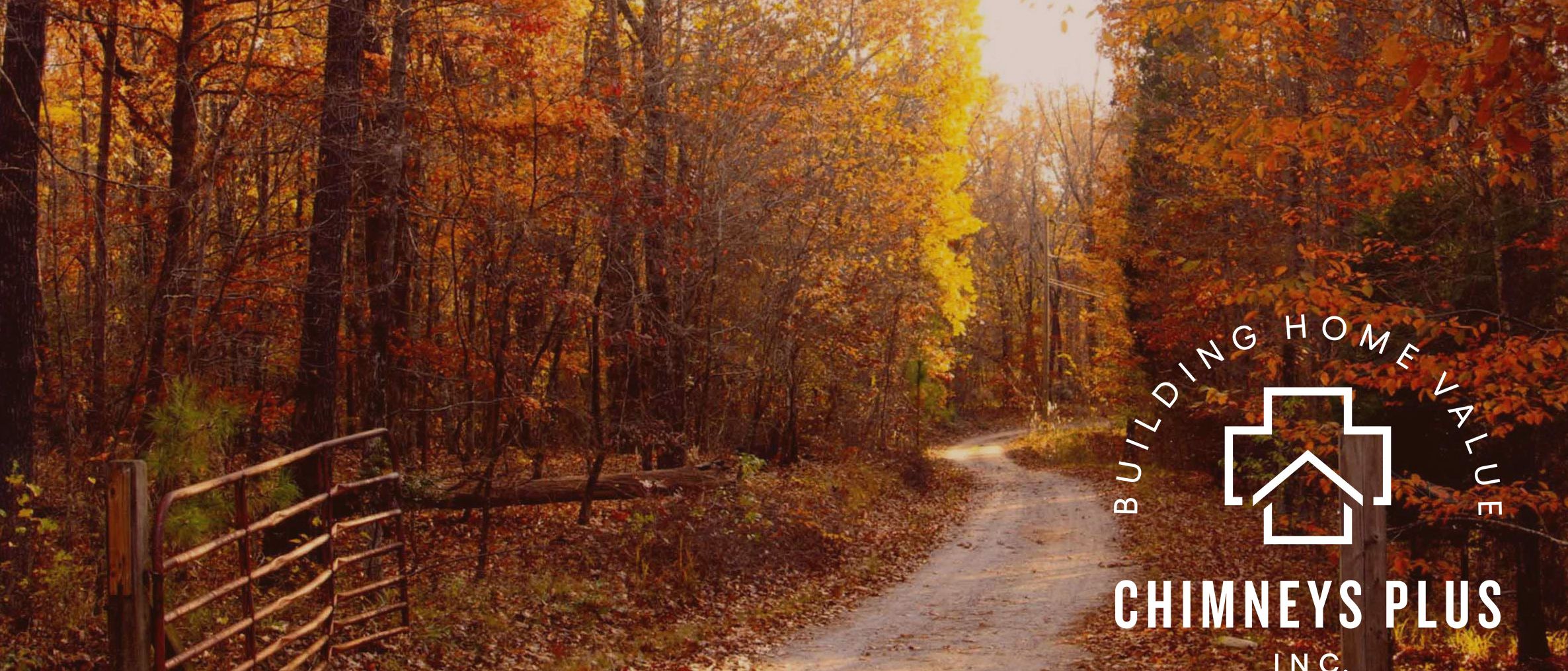 autumn forest