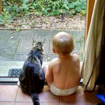 baby and cat
