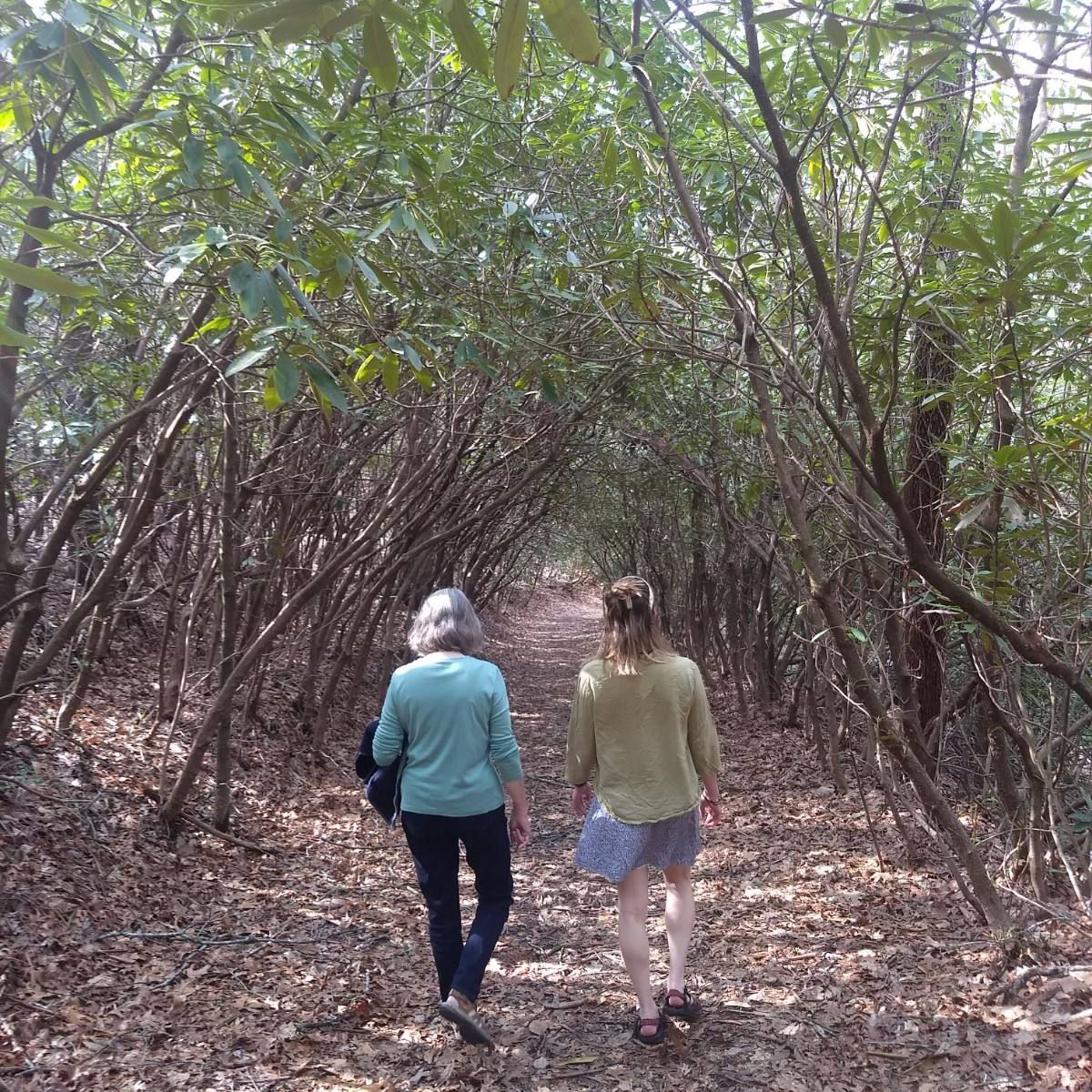 People walking through woods