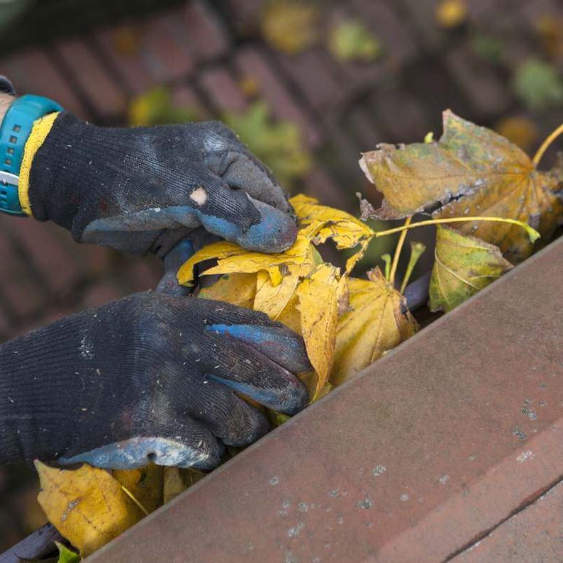 Clearing leaves from gutters