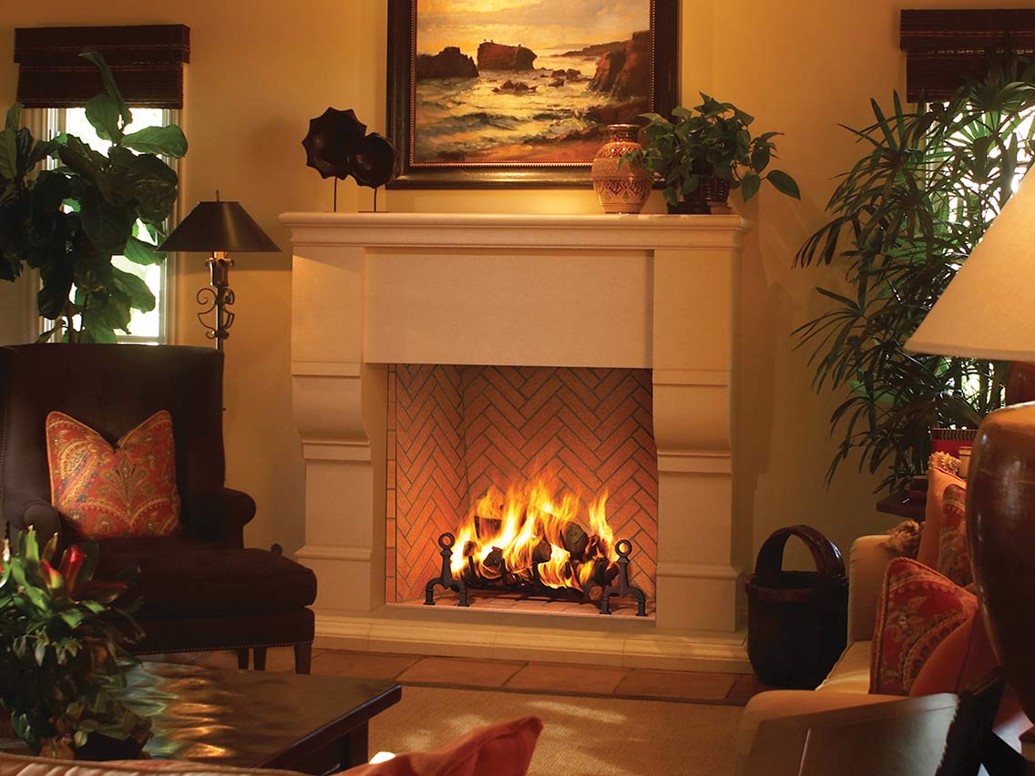 astria Wood Insert fireplace