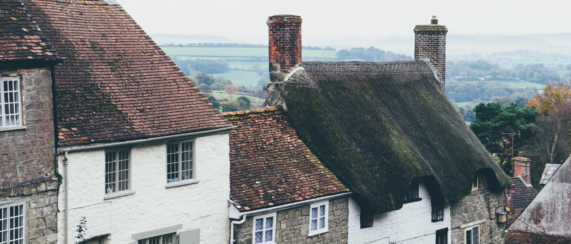 Chimney Inspection